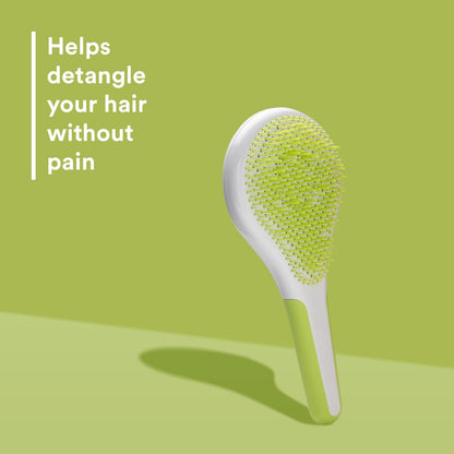 Michel Mercier Wet and Dry Hair Detangler - Soft Bristles Brush for Healthy, Shiny Hair - Green/White - Normal Hair