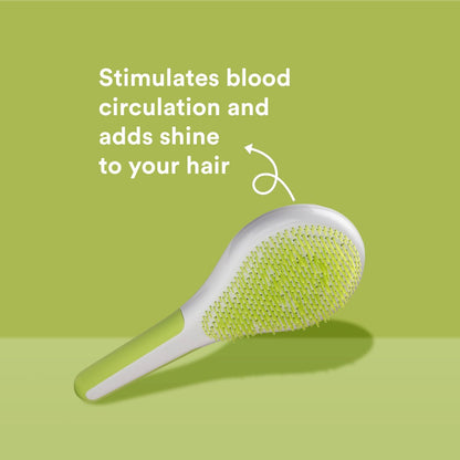 Michel Mercier Wet and Dry Hair Detangler - Soft Bristles Brush for Healthy, Shiny Hair - Green/White - Normal Hair