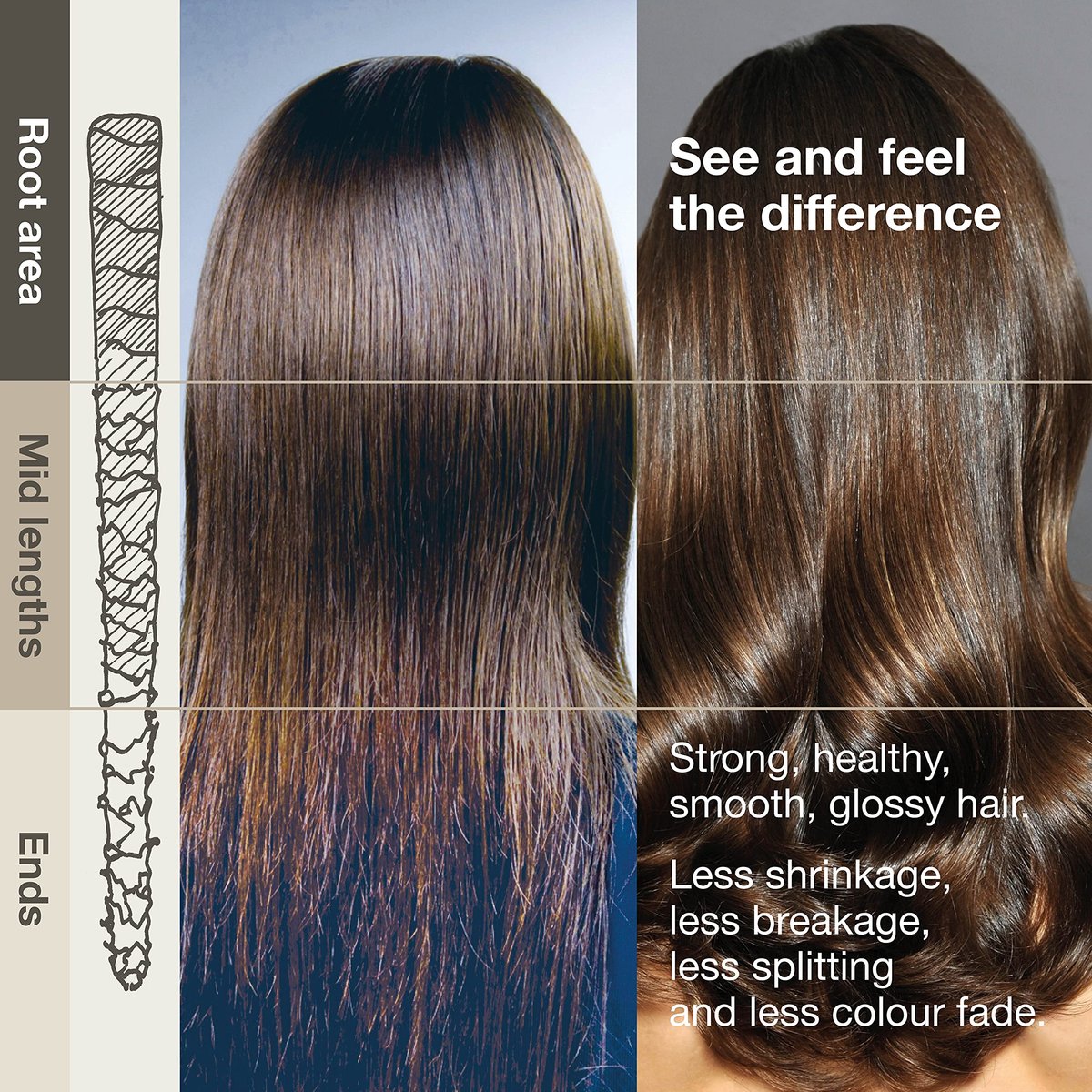 3 More Inches Cashmere Protein UV Protective Shampoo 250ml - Restoring & Strengthening Shampoo - Color Protective - Silicone Free - With Protein Amino Acids - Hair Care by Michael Van Clarke - görsel 11