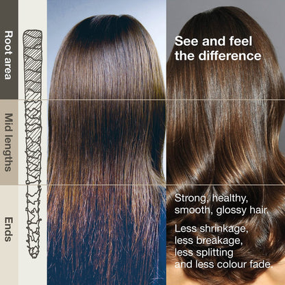 3 More Inches Cashmere Protein UV Protective Shampoo 250ml - Restoring & Strengthening Shampoo - Color Protective - Silicone Free - With Protein Amino Acids - Hair Care by Michael Van Clarke
