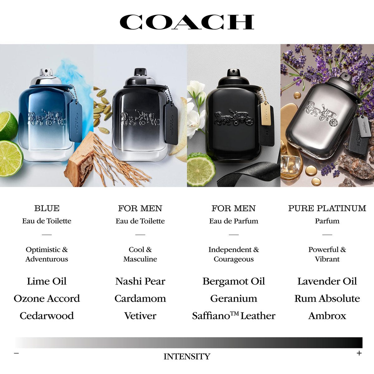 Coach for Men EDT Deodorant Stick, 2.5 oz - Fresh Long-Lasting Scent Avelisse