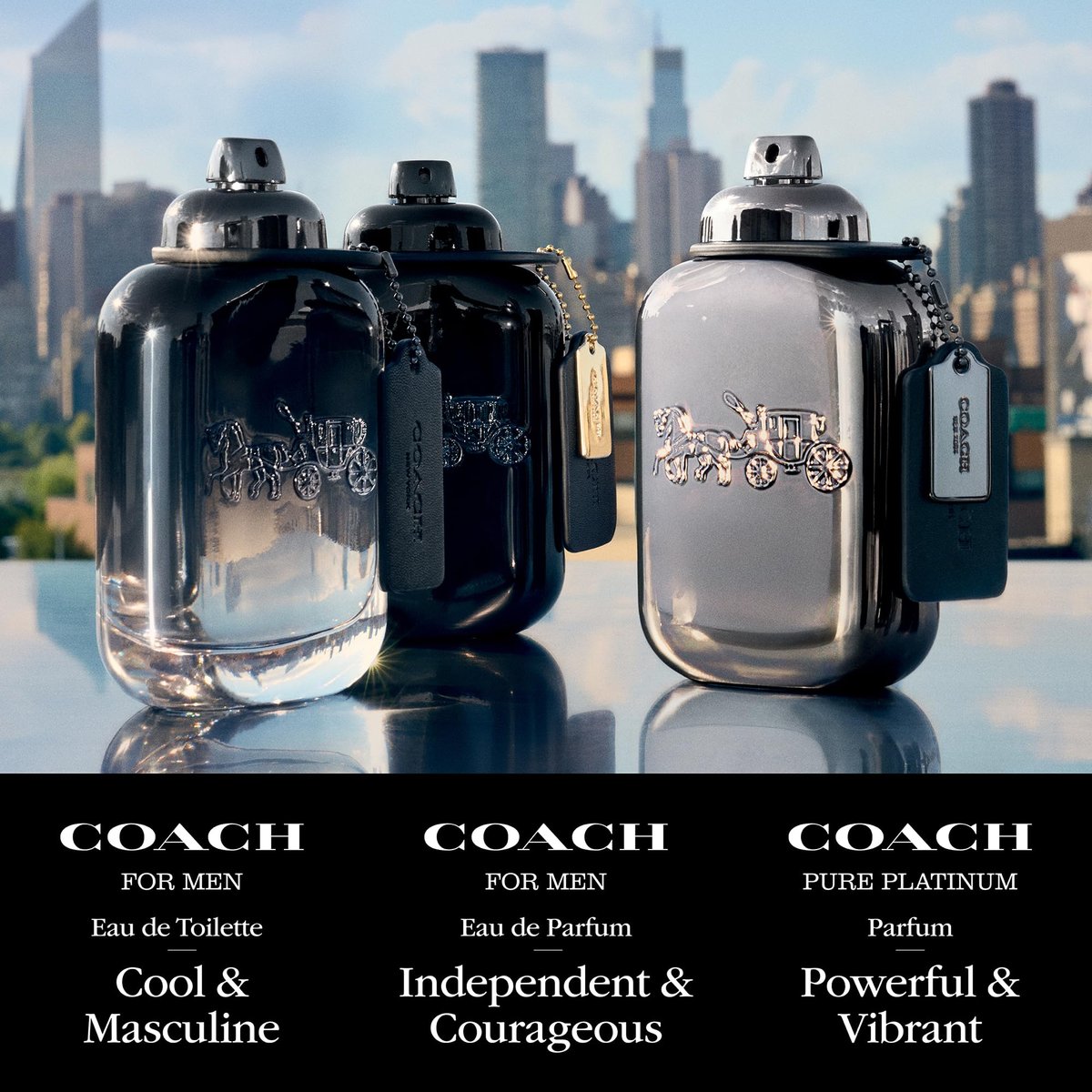 Coach for Men EDT Deodorant Stick, 2.5 oz - Fresh Long-Lasting Scent Avelisse