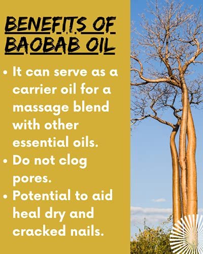AFRIKINKY Baobab Oil - Unrefined Cold Pressed Premium Fresh 50ml - 100% Pure for Skin, Hair, Nails & Massage