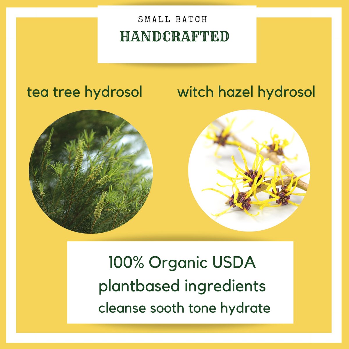 Tea Tree Witch Hazel Face Toner - Organic Hydrosol Astringent Facial Spray for Blemishes, Acne, pH Balance - All Skin Types - Hello Cider (3 Fl Oz) - görsel 5