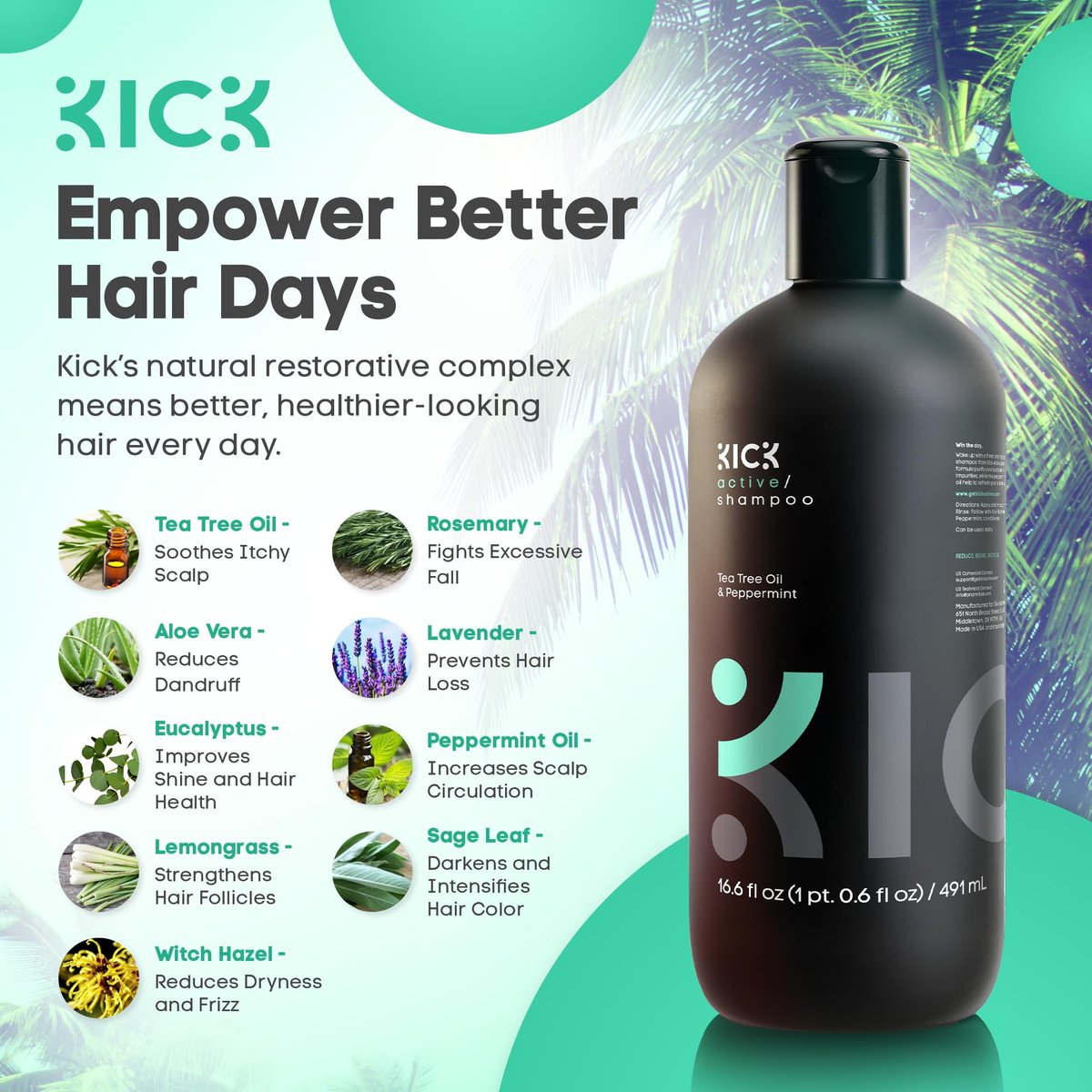 Kick Men's Shampoo - Peppermint & Tea Tree for Oil Control - Sulfate-Free, Refreshing Formula, Anti-Dandruff & Scalp Soothing - 16.6 oz Avelisse