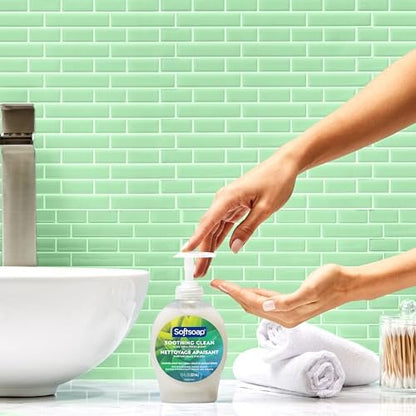Softsoap Moisturizing Liquid Hand Soap, Soothing Clean Aloe Vera - 7.5 Fl Oz (Pack of 6)