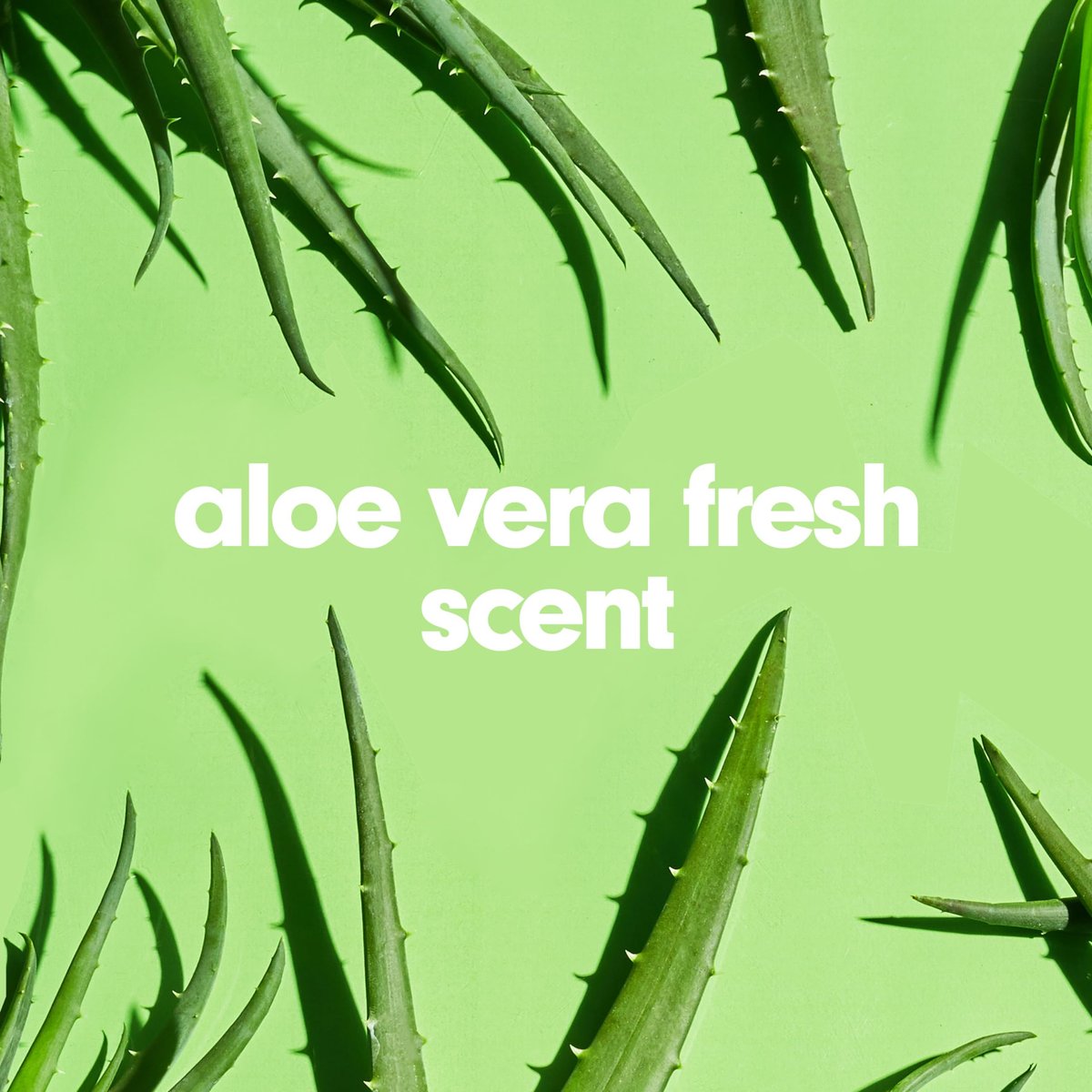 Softsoap Moisturizing Liquid Hand Soap, Soothing Clean Aloe Vera - 7.5 Fl Oz (Pack of 6) - görsel 16