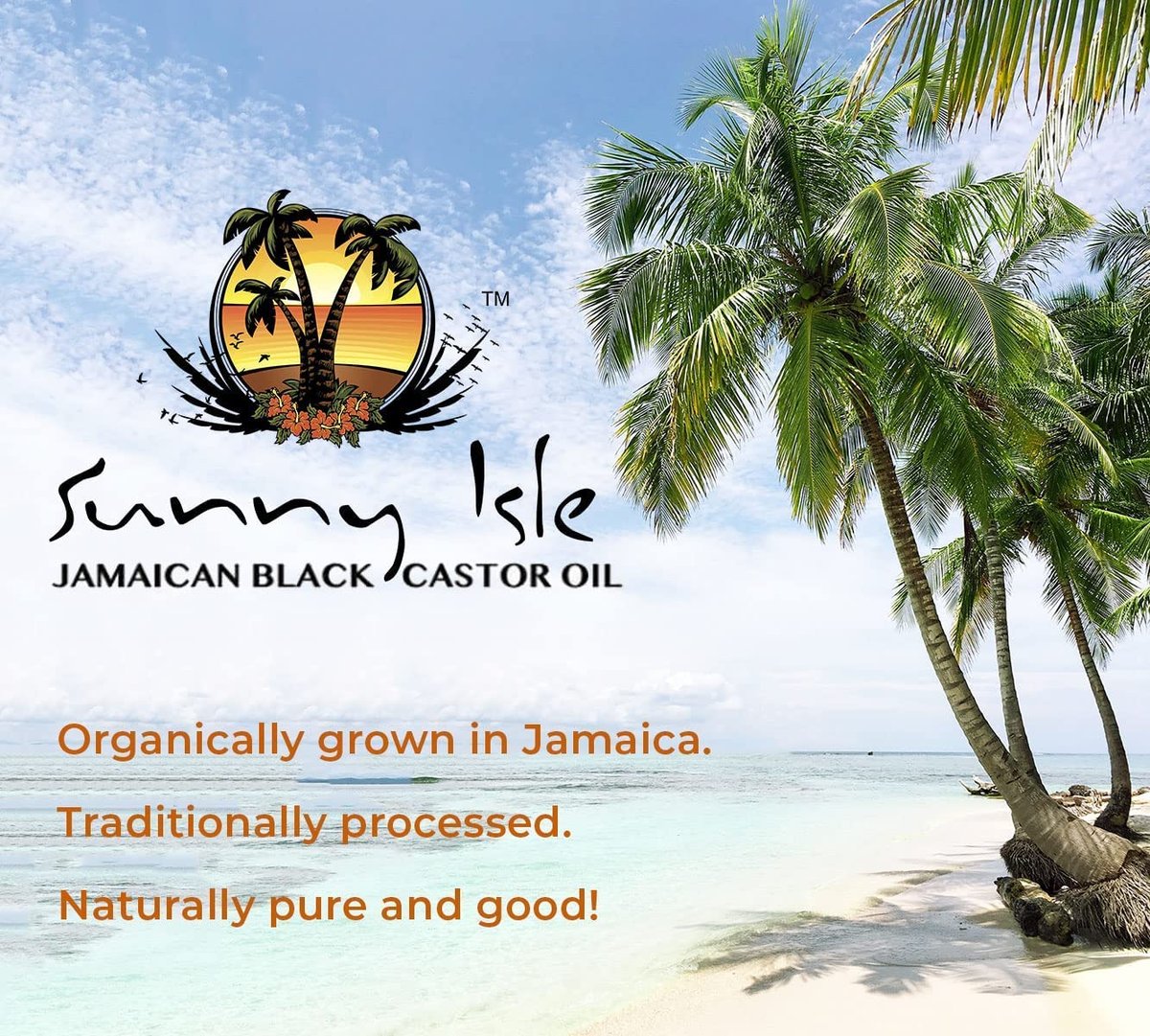 Sunny Isle Jamaican Black Castor Oil Root Repair Growth Oil - Nourishes Hair, Strengthens, Prevents Hair Loss - 4 oz - görsel 14
