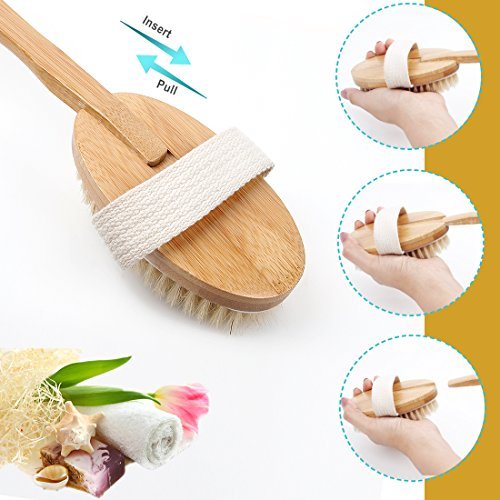 Qlben Bath & Body Brush – Dry Skin Brushing with Natural Boar Bristles & Long Bamboo Handle for Exfoliation & Circulation - görsel 10