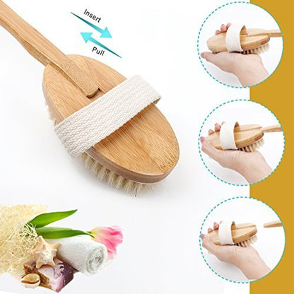 Qlben Bath & Body Brush – Dry Skin Brushing with Natural Boar Bristles & Long Bamboo Handle for Exfoliation & Circulation