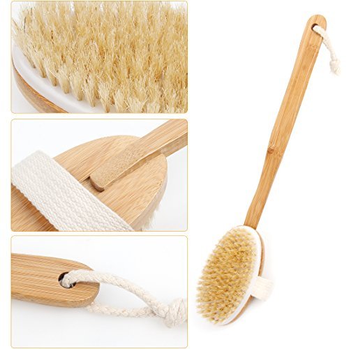 Qlben Bath & Body Brush – Dry Skin Brushing with Natural Boar Bristles & Long Bamboo Handle for Exfoliation & Circulation - görsel 12
