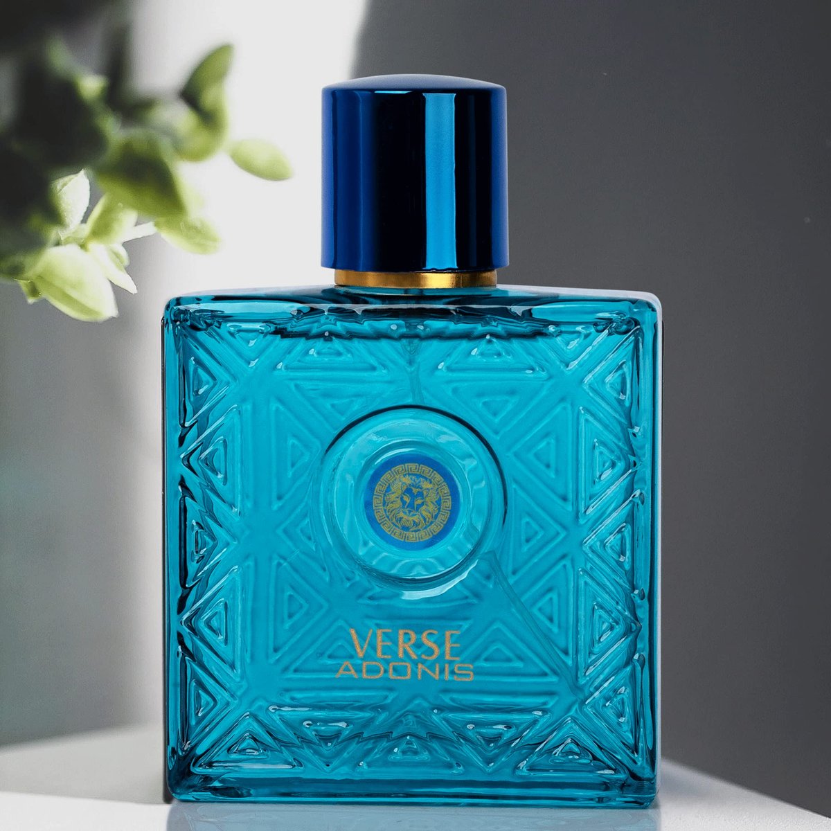NovoGlow Verse Adonis Eau De Parfum for Men - 3.4 Fl Oz (100ml) Woody Floral & Fruity Scent, Long-Lasting Masculine Fragrance - görsel 8