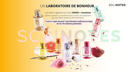 Solinotes Orange Blossom Eau de Parfum – Delicate Floral Scent for Women & Men, 1.7 Fl Oz | Vegan & Cruelty-Free, Made in France