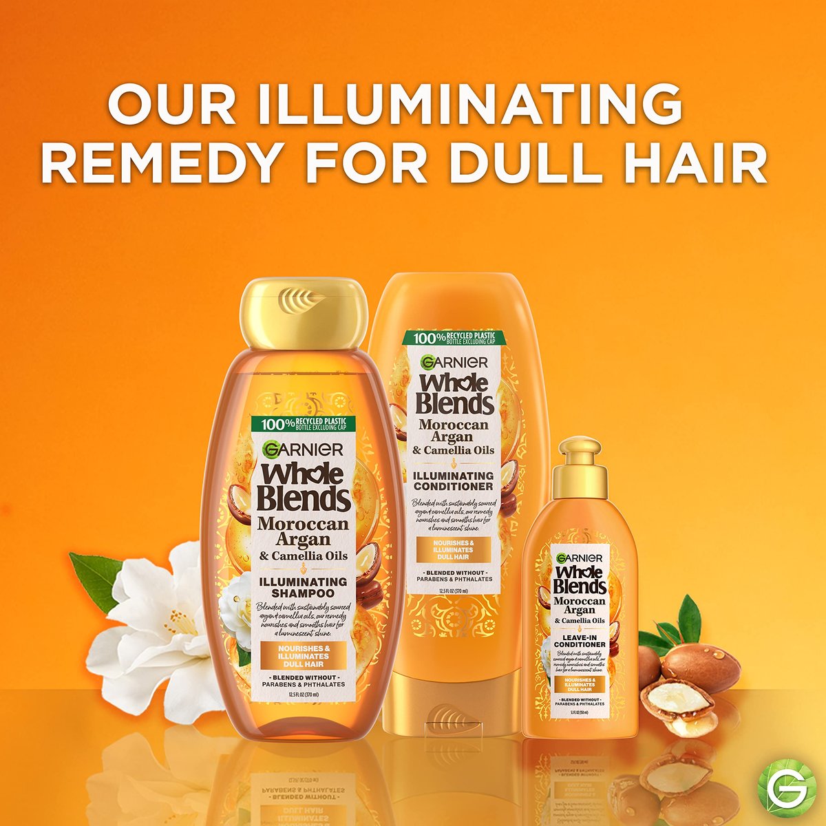 Garnier Whole Blends Moroccan Argan & Camellia Oils Illuminating Shampoo for Silky Shine, 12.5 Fl Oz (Pack of 3) Avelisse