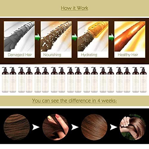 MagiForet Natural Argan Oil Shampoo & Conditioner Set for Dry, Damaged, Colored Hair - 16.9 Fl Oz Each (Pack of 2) - görsel 4