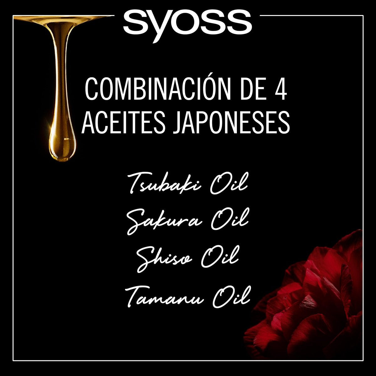 Syoss Oleo Intense Permanent Intensive Oil Color 8-60 Honey Blonde (Pack of 3) - görsel 9
