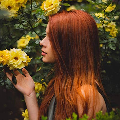 Organic Henna Powder for Hair – Pure Red Hair Dye – 7 oz – Natural Hair Care Avelisse