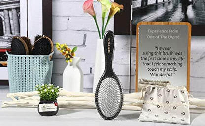 BESTOOL Paddle Detangler Hair Brush with Metal Bristles – Anti-Static for All Hair Types, Wet & Dry Use Avelisse