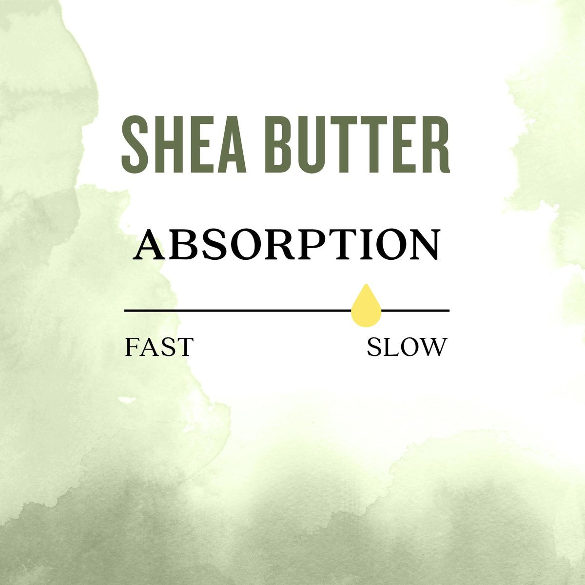 Aura Cacia Organic Shea Butter | Unrefined Body Care | 3.25 oz Avelisse