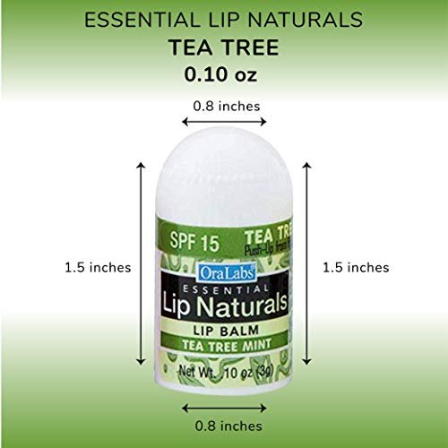 CHAP-ICE Lip Naturals Mini Balms: 3 Flavors, SPF-15, 50ct | Assorted Avelisse