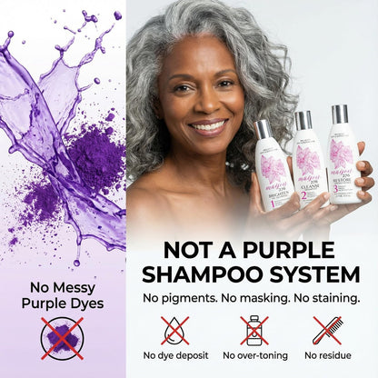 Maison 276 Pre-Shampoo, Shampoo & Conditioner for Silver, Gray & Blonde Hair - 3-Step Tone-Brightening System, Neutralizes Brassiness, Sulfate-Free, 3x 8 oz Bottles Avelisse