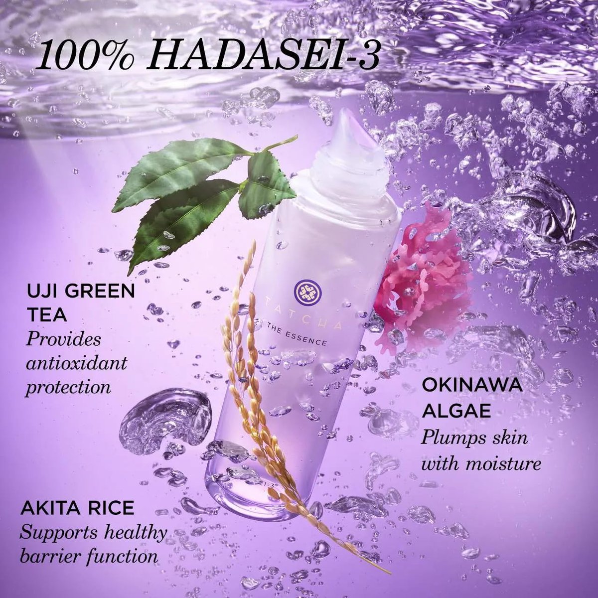 Tatcha The Essence | Oil-Free Moisturizing and Skin Softening Serum with Green Tea | 150ml / 5.1 oz Avelisse