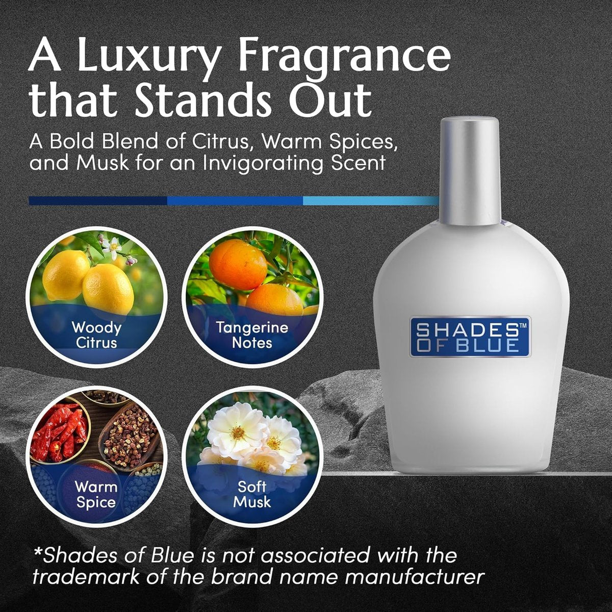 PB ParfumsBelcam Shades of Blue Eau de Toilette Spray for Men – Fresh Citrus Woody Cologne with Mandarin, Warm Spices & Musk – Mediterranean-Style Men’s Fragrance, 3.4 Fl Oz Avelisse