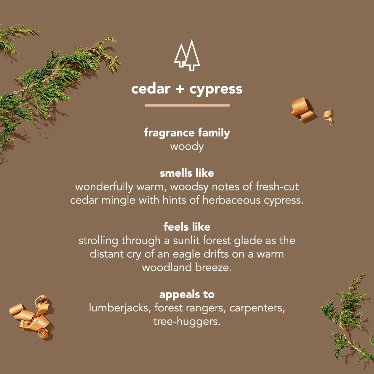Method Cedar & Cypress Men's Bar Soap - 6 oz (Pack of 1) - Plant-Based Body Wash - görsel 7