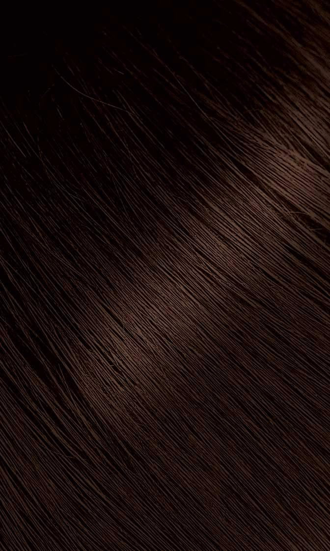 Bigen #46 Light Chestnut Permanent Powder Hair Color - 6 Pack Avelisse