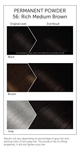 Bigen Powder Hair Color #56 Rich Medium Brown - 3 Pack, 0.21 oz Each Avelisse