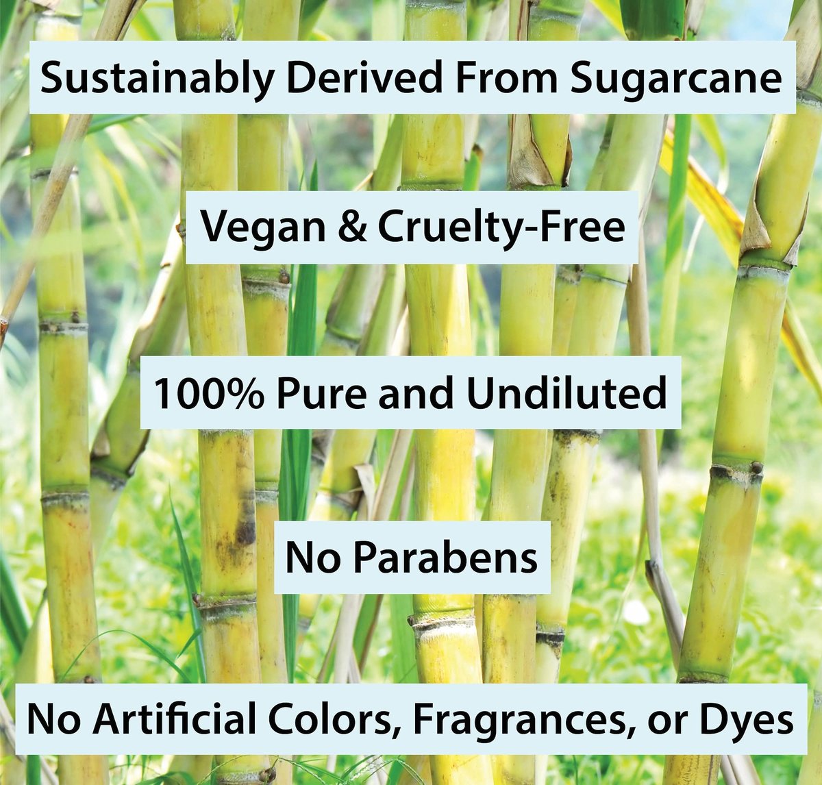 100% Pure Plant Derived Squalane Oil Moisturizer - Face, Body, Skin & Hair Oil - 2 Fl Oz by Amara Beauty Avelisse