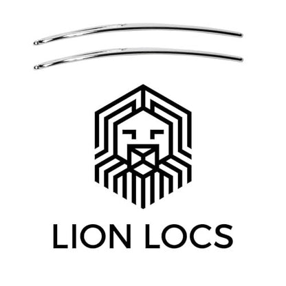 Lion Locs Interlocking Tools for Locs – Sisterlock & Dreadlocks Starter Kit with 2 Locking Needles (Large + Small Pin), Chrome