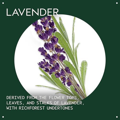 Aveda Lavender Essential Oil + Base – Calming Aroma for Body & Bath, 1 Fl Oz Avelisse