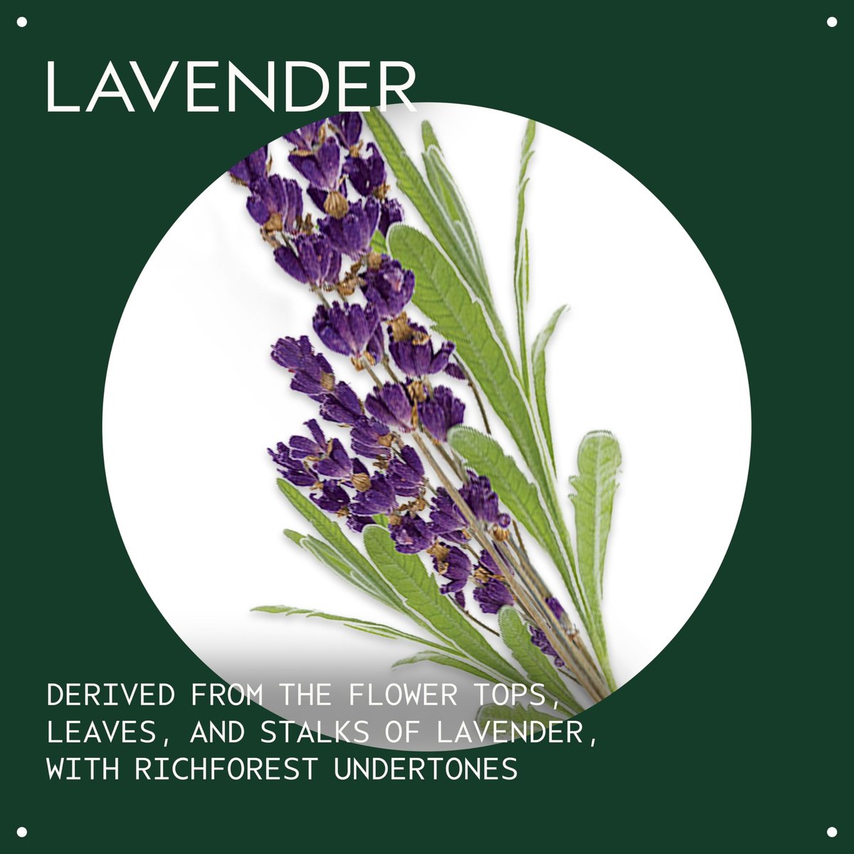 Aveda Lavender Essential Oil + Base – Calming Aroma for Body & Bath, 1 Fl Oz Avelisse