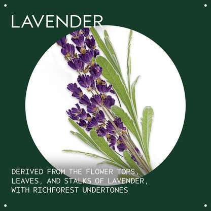 Aveda Lavender Essential Oil + Base – Calming Aroma for Body & Bath, 1 Fl Oz Avelisse