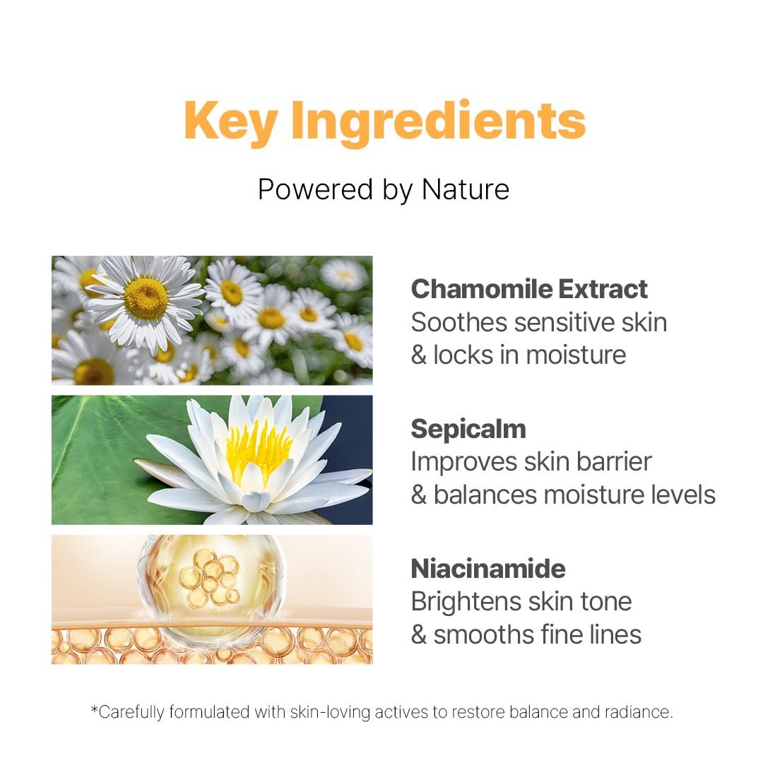 NACIFIC Fresh Herb Origin Facial Moisturizer – Vitamin B Radiance Cream for All Skin Types, 1.69 fl oz (50 ml) Avelisse