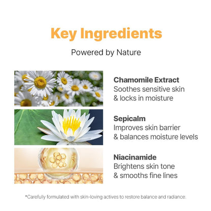 NACIFIC Fresh Herb Origin Facial Moisturizer – Vitamin B Radiance Cream for All Skin Types, 1.69 fl oz (50 ml) Avelisse
