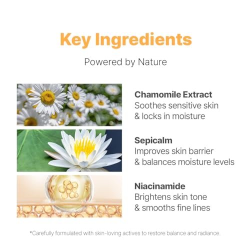 NACIFIC Fresh Herb Origin Facial Moisturizer – Vitamin B Radiance Cream for All Skin Types, 1.69 fl oz (50 ml) Avelisse