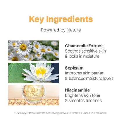 NACIFIC Fresh Herb Origin Facial Moisturizer – Vitamin B Radiance Cream for All Skin Types, 1.69 fl oz (50 ml) Avelisse