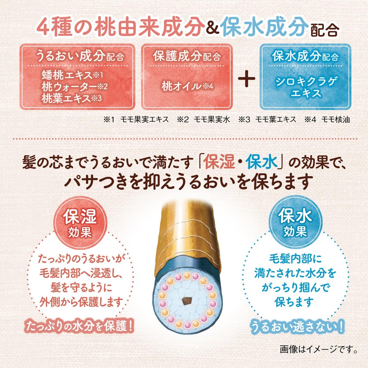 momori Thick Moist Hair Cream – Deep Hydration Cream for Dry, Damaged Hair, 5.3 oz (150 g) Avelisse