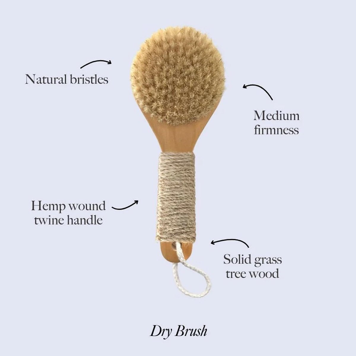 Esker Dry Brush - Natural Wood Full Body Exfoliating Brush for Circulation & Energy Flow Avelisse