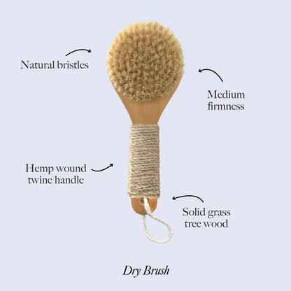 Esker Dry Brush - Natural Wood Full Body Exfoliating Brush for Circulation & Energy Flow Avelisse