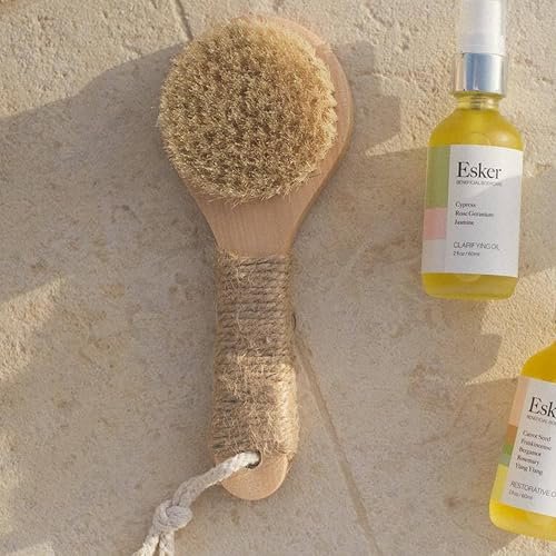 Esker Dry Brush - Natural Wood Full Body Exfoliating Brush for Circulation & Energy Flow Avelisse