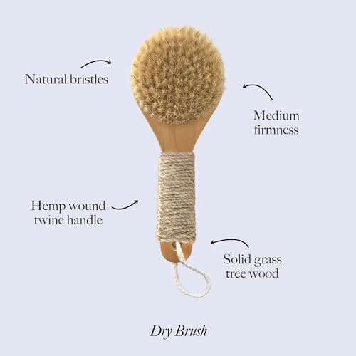 Esker Dry Brush - Natural Wood Full Body Exfoliating Brush for Circulation & Energy Flow Avelisse