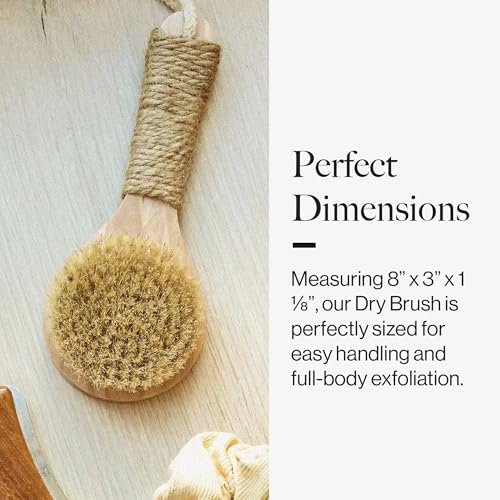 Esker Dry Brush - Natural Wood Full Body Exfoliating Brush for Circulation & Energy Flow Avelisse
