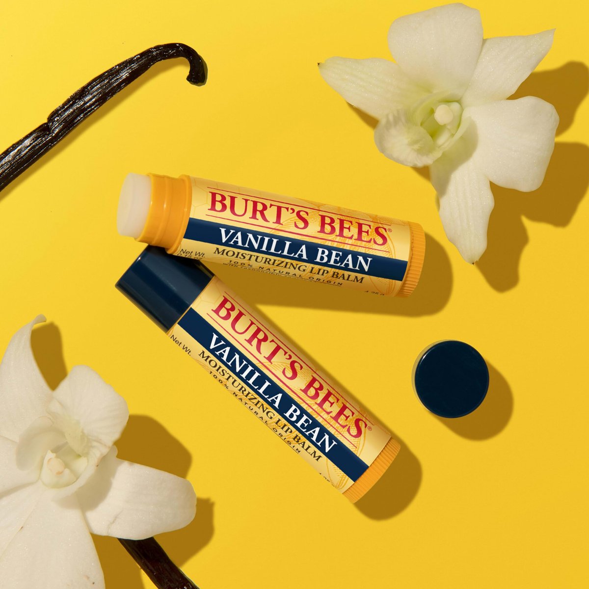 Burt's Bees 100% Natural Moisturizing Lip Balm, Vanilla Bean - 4 Tubes - görsel 13
