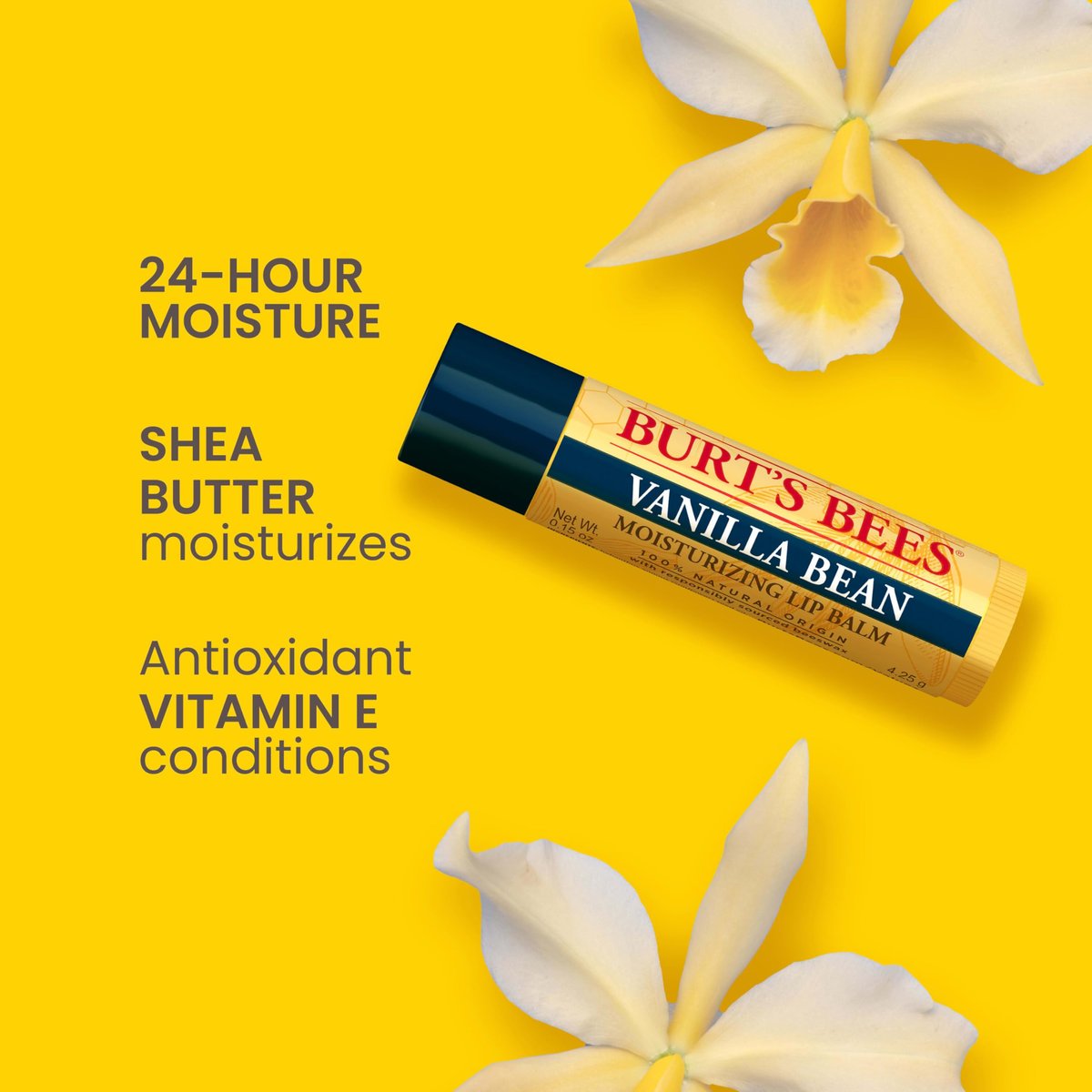 Burt's Bees 100% Natural Moisturizing Lip Balm, Vanilla Bean - 4 Tubes - görsel 3