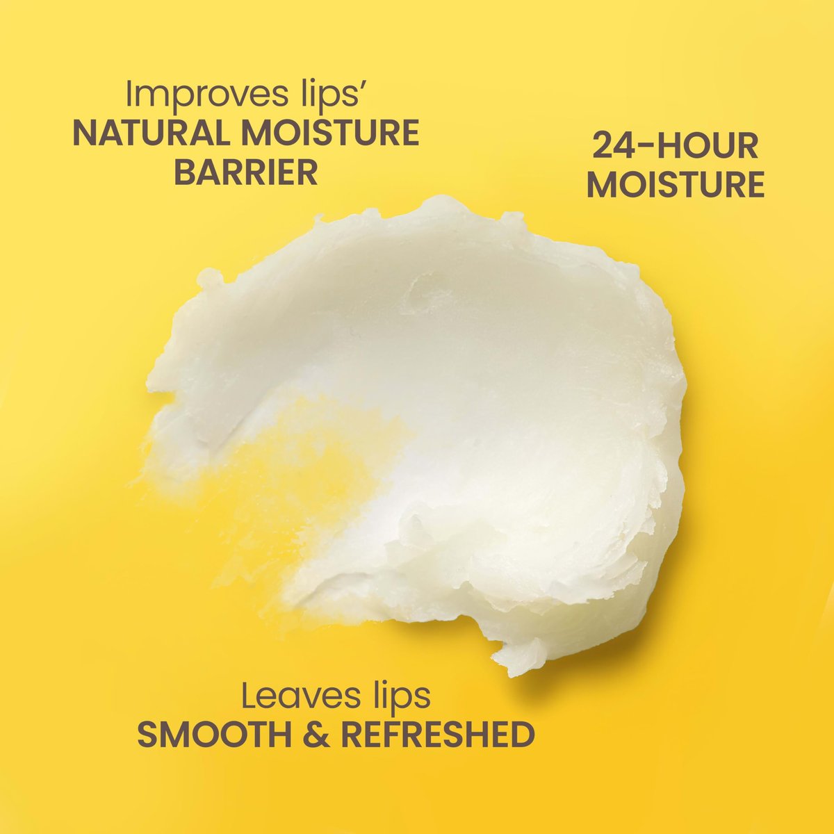 Burt's Bees 100% Natural Moisturizing Lip Balm, Vanilla Bean - 4 Tubes - görsel 5