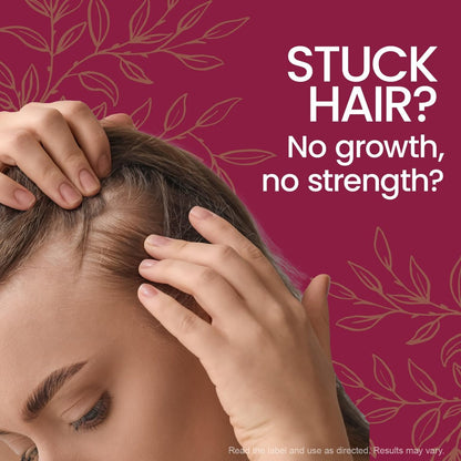 Tio Nacho Ginseng Shampoo with Royal Jelly – Herbal Hair Growth Shampoo for Stronger, Healthier Hair, 14 fl oz