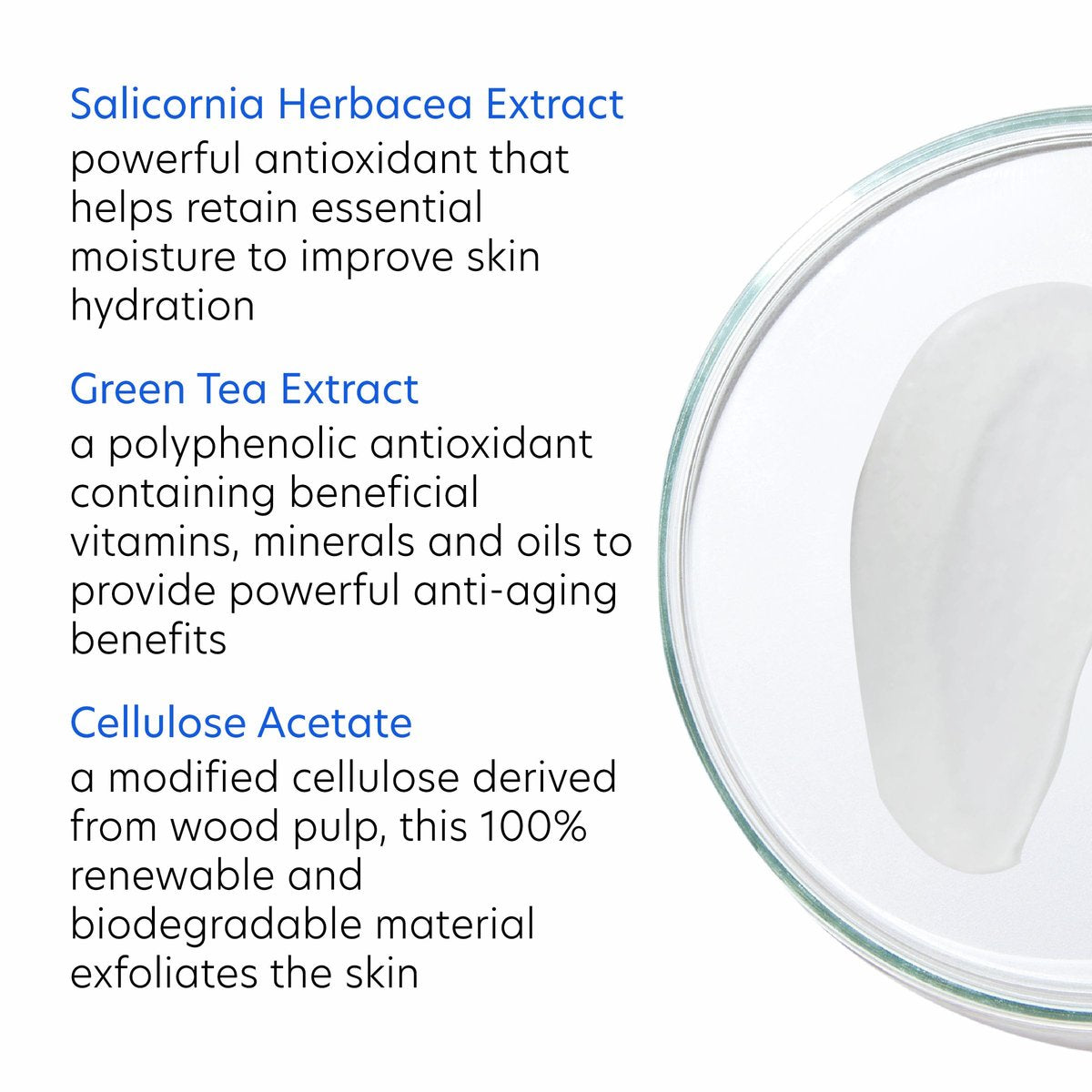 PCA SKIN Daily Face Exfoliant Cleanser - Moisturizing Facial Wash with Renewable Exfoliants, 7.0 oz Avelisse